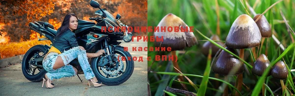 мескалин Арсеньев