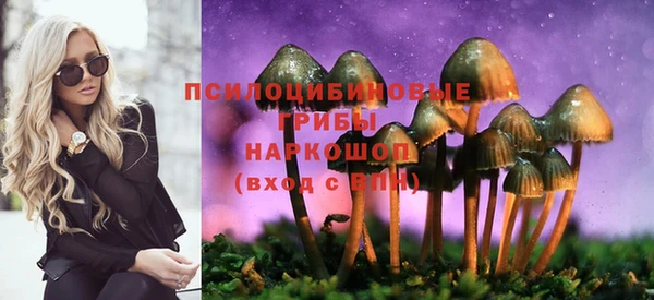 мескалин Арсеньев