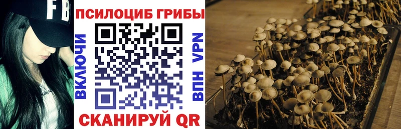 блэк спрут ONION  Хвалынск  Псилоцибиновые грибы мицелий 